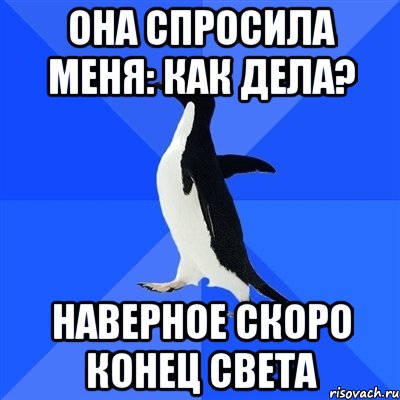 Она спросила меня: Как дела? наверное скоро конец света, Мем  Социально-неуклюжий пингвин