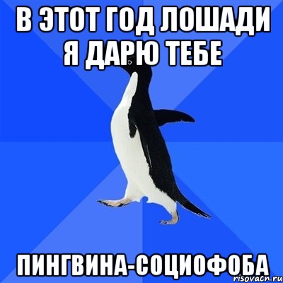 В этот год лошади я дарю тебе пингвина-социофоба, Мем  Социально-неуклюжий пингвин