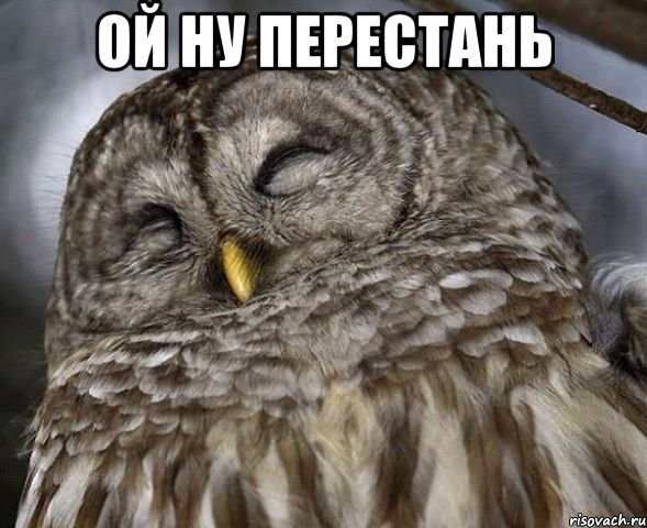 ОЙ НУ ПЕРЕСТАНЬ , Мем совушка