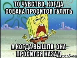 ТО ЧУВСТВО, КОГДА СОБАКА ПРОСИТСЯ ГУЛЯТЬ А КОГДА ВЫШЛИ, ОНА ПРОСИТСЯ НАЗАД, Мем Спанч Боб плачет