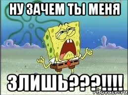 Ну зачем ты меня ЗЛИШЬ???!!!!