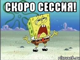 Скоро сессия! , Мем Спанч Боб плачет