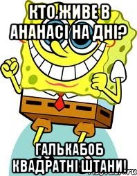 кто живе в ананасі на дні? ГАЛЬКАБОБ квадратні штани!, Мем спанч боб