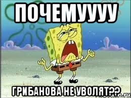 Почемуууу Грибанова не уволят??, Мем Спанч Боб плачет