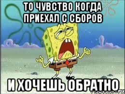 то чувство когда приехал с сборов и хочешь обратно, Мем Спанч Боб плачет