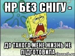 НР без снігу - до такого мене жизнь не підготовила, Мем Спанч Боб плачет