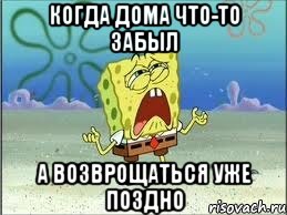 когда дома что-то забыл а возврощаться уже поздно, Мем Спанч Боб плачет