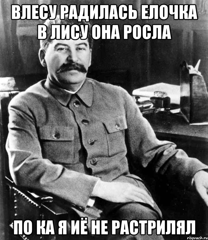 влесу радилась елочка в лису она росла по ка я иё не растрилял, Мем  иосиф сталин