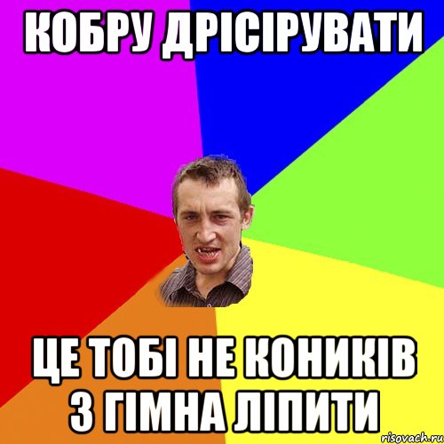 кобру дрісірувати це тобі не коників з гімна ліпити, Мем Чоткий паца