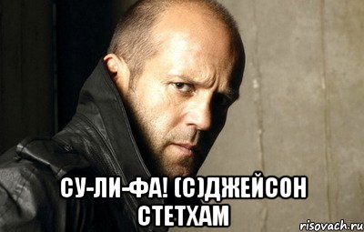  Су-Ли-Фа! (с)Джейсон Стетхам