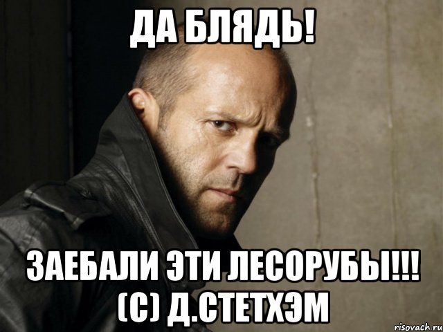 Да блядь! Заебали эти лесорубы!!! (с) Д.Стетхэм