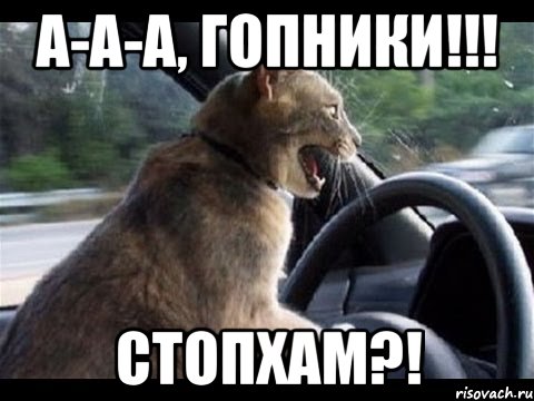 а-а-а, гопники!!! стопхам?!