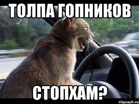 толпа гопников стопхам?