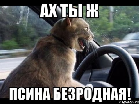 ах ты ж псина безродная!
