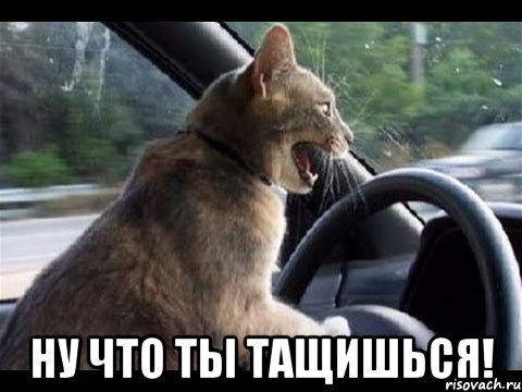  ну что ты тащишься!