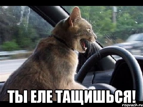  ты еле тащишься!