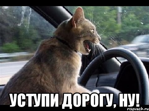  уступи дорогу, ну!