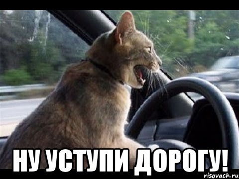  ну уступи дорогу!