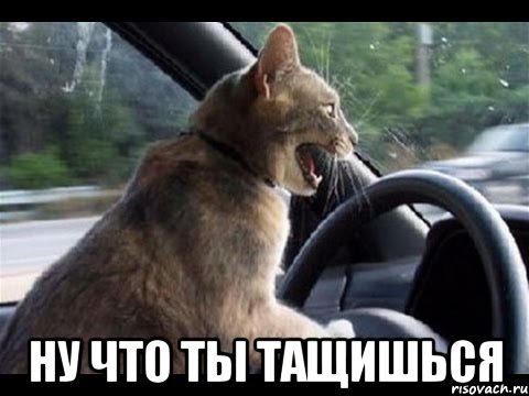  ну что ты тащишься