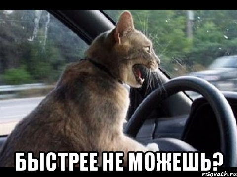  быстрее не можешь?