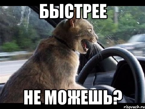 быстрее не можешь?