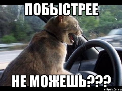 побыстрее не можешь???