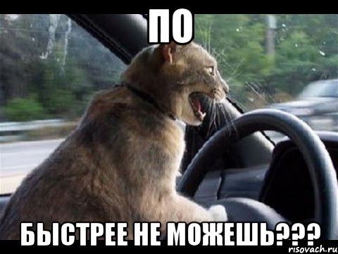по быстрее не можешь???