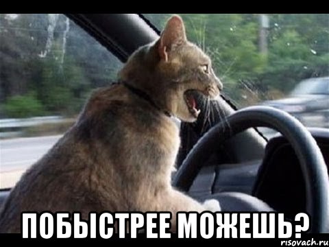  побыстрее можешь?