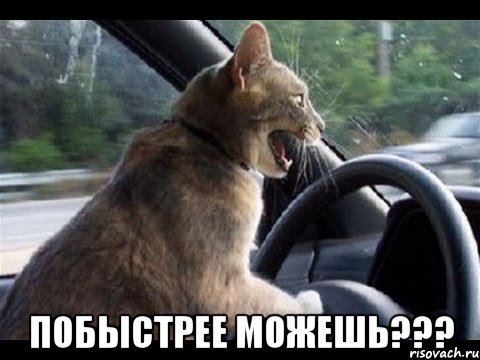  побыстрее можешь???