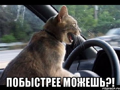  побыстрее можешь?!