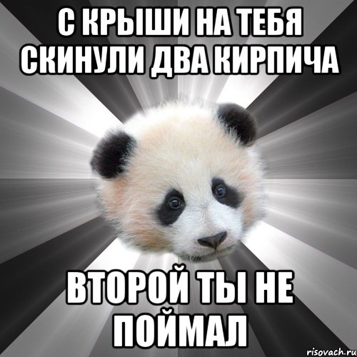 с крыши на тебя скинули два кирпича второй ты не поймал, Мем Стыдливая сожалеющая панда  Regr