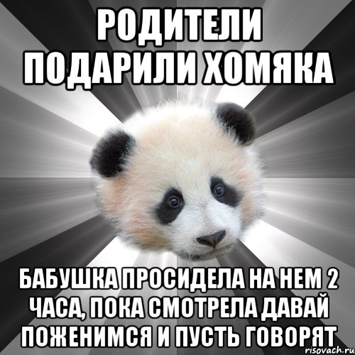 родители подарили хомяка бабушка просидела на нем 2 часа, пока смотрела давай поженимся и пусть говорят, Мем Стыдливая сожалеющая панда  Regr