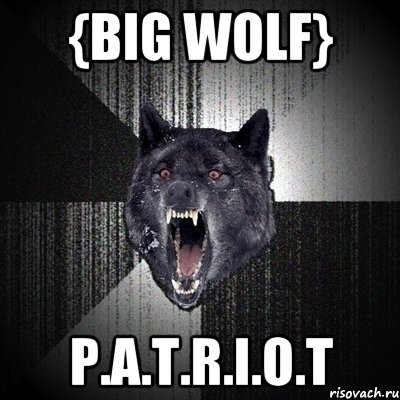 {Big wolf} P.A.T.R.I.O.T, Мем Сумасшедший волк