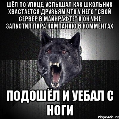 шёл по улице, услышал как школьник хвастается друзьям что у него "свой сервер в майнрафте" и он уже запустил пира компанию в комментах подошёл и уебал с ноги, Мем Сумасшедший волк