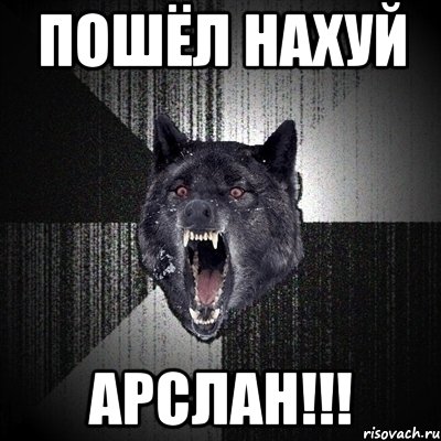 Пошёл Нахуй Арслан!!!, Мем Сумасшедший волк