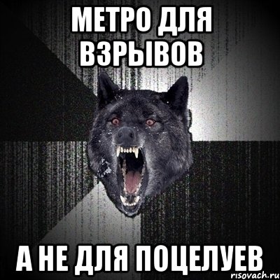 МЕТРО ДЛЯ ВЗРЫВОВ А НЕ ДЛЯ ПОЦЕЛУЕВ, Мем Сумасшедший волк