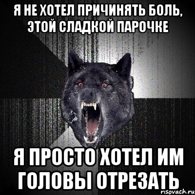 Я НЕ ХОТЕЛ ПРИЧИНЯТЬ БОЛЬ, ЭТОЙ СЛАДКОЙ ПАРОЧКЕ Я ПРОСТО ХОТЕЛ ИМ ГОЛОВЫ ОТРЕЗАТЬ, Мем Сумасшедший волк