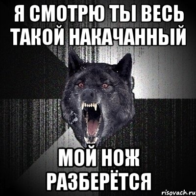 Я СМОТРЮ ТЫ ВЕСЬ ТАКОЙ НАКАЧАННЫЙ МОЙ НОЖ РАЗБЕРЁТСЯ, Мем Сумасшедший волк