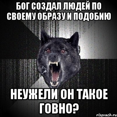 БОГ СОЗДАЛ ЛЮДЕЙ ПО СВОЕМУ ОБРАЗУ И ПОДОБИЮ НЕУЖЕЛИ ОН ТАКОЕ ГОВНО?, Мем Сумасшедший волк