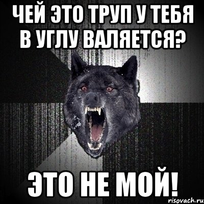 ЧЕЙ ЭТО ТРУП У ТЕБЯ В УГЛУ ВАЛЯЕТСЯ? ЭТО НЕ МОЙ!, Мем Сумасшедший волк