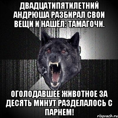 ДВАДЦАТИПЯТИЛЕТНИЙ АНДРЮША РАЗБИРАЛ СВОИ ВЕЩИ И НАШЁЛ: ТАМАГОЧИ. ОГОЛОДАВШЕЕ ЖИВОТНОЕ ЗА ДЕСЯТЬ МИНУТ РАЗДЕЛАЛОСЬ С ПАРНЕМ!, Мем Сумасшедший волк