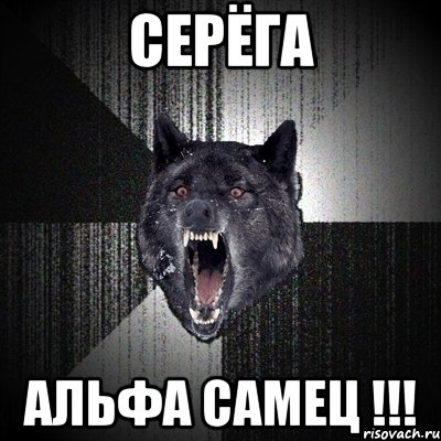 Серёга альфа самец !!!, Мем Сумасшедший волк