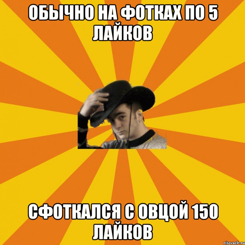Обычно на фотках по 5 лайков Сфоткался с овцой 150 лайков