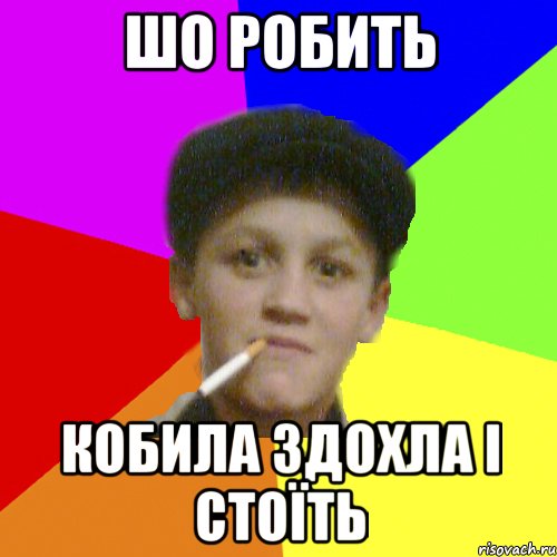 шо робить кобила здохла і стоїть