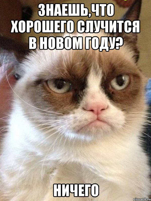 Знаешь,что хорошего случится в новом году? Ничего, Мем Грустный (сварливый) кот