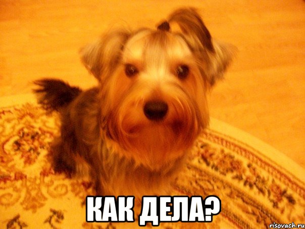  КАК ДЕЛА?