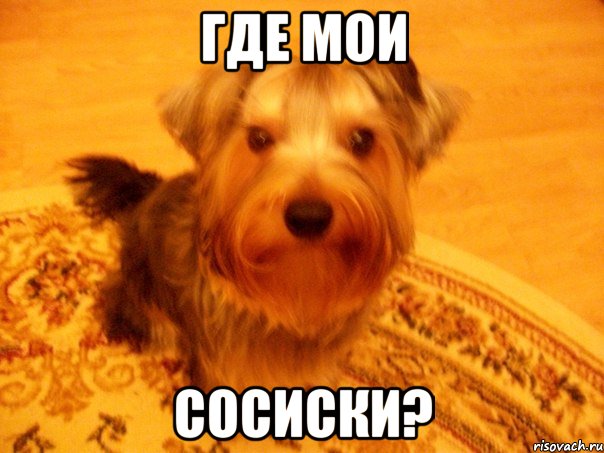 где мои сосиски?