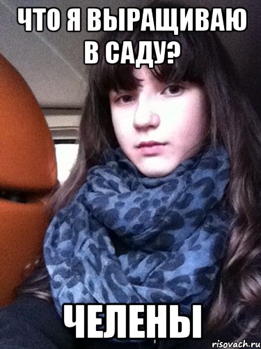Что я выращиваю в саду? Челены
