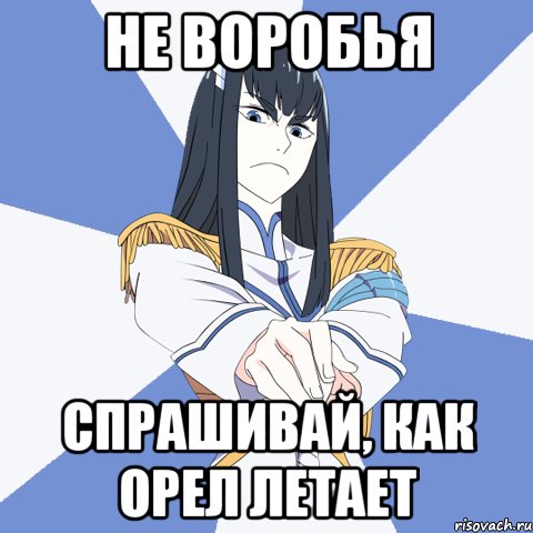 Не воробья Спрашивай, как орел летает