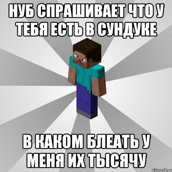 Нуб спрашивает что у тебя есть в сундуке В каком блеать у меня их тысячу, Мем Типичный игрок Minecraft